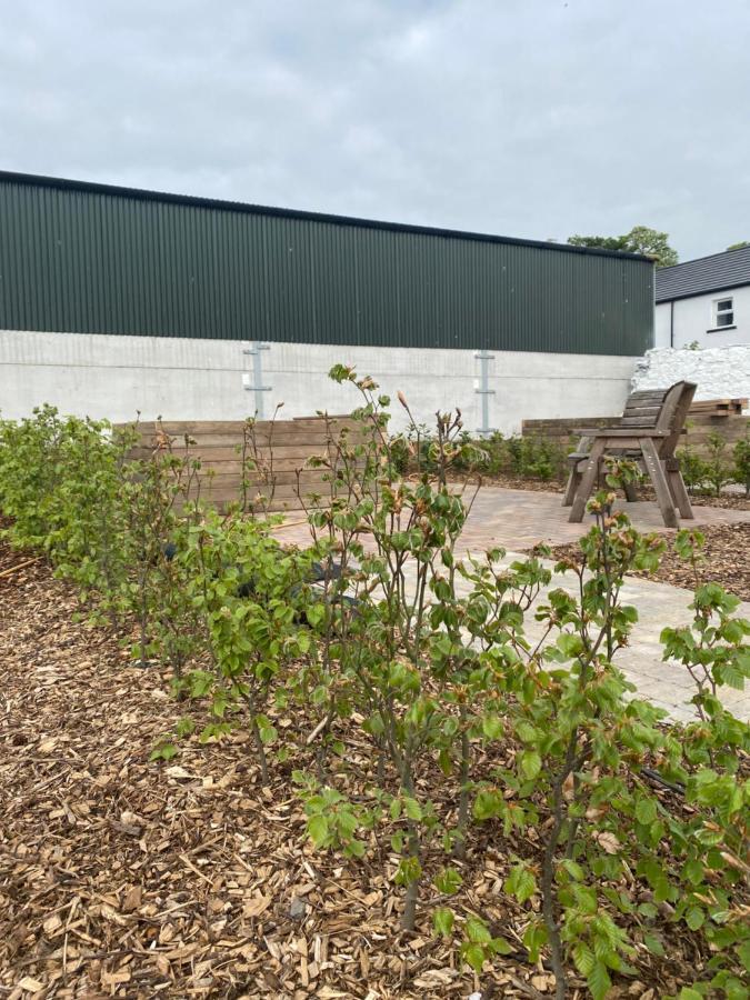 Ballymullock Barn Lofts Carncastle Luaran gambar