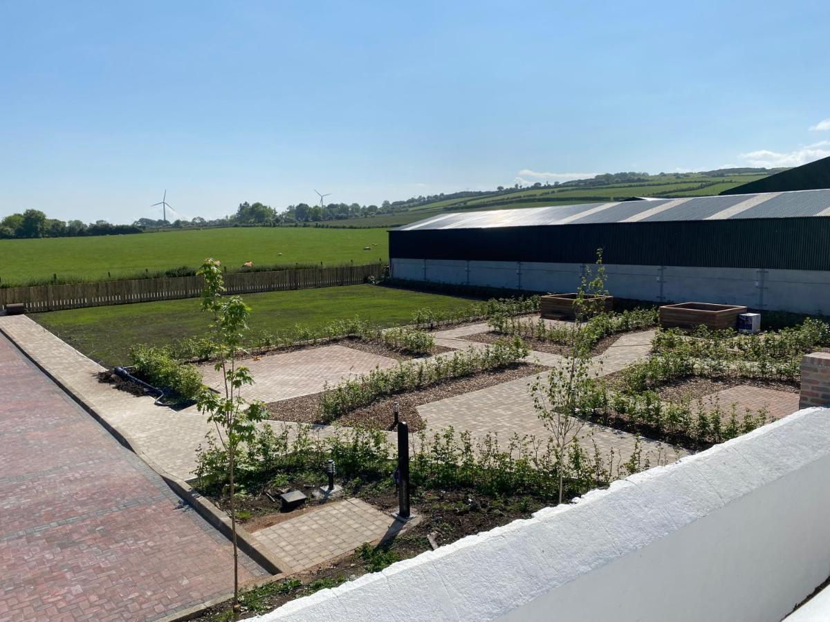 Ballymullock Barn Lofts Carncastle Luaran gambar