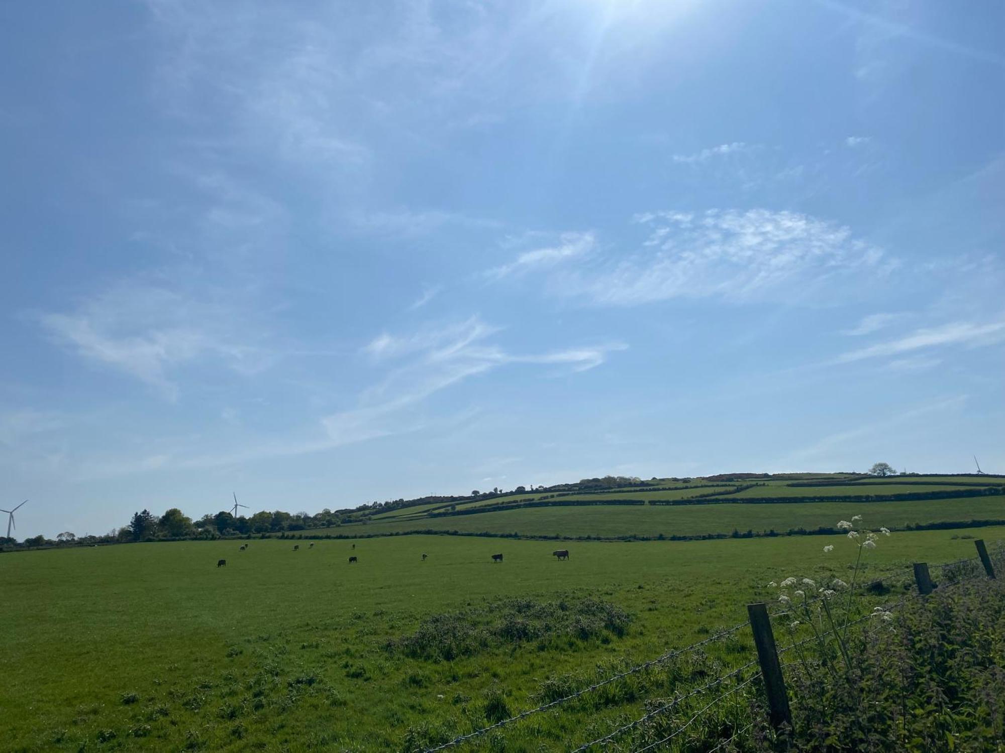 Ballymullock Barn Lofts Carncastle Bilik gambar